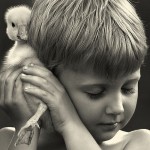 animal-children-photography-elena-shumilova-17