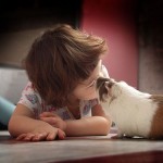 children-and-animal-love2